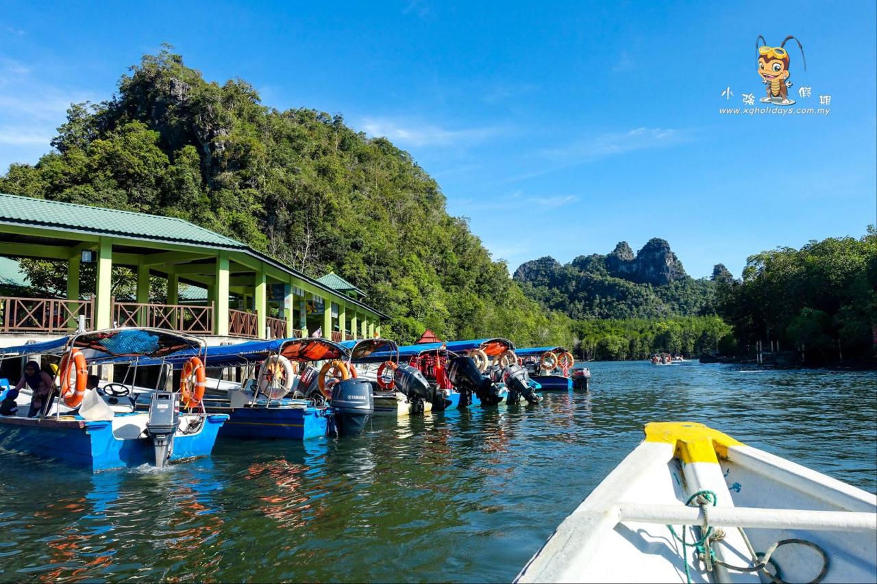 Jelajahi Keindahan Hutan Mangrove Langkawi